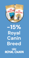 Royal Canin Teckel Croquettes pour chiens adultes 1.5kg