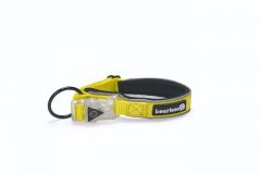 Beeztees équipement de sécurité Parinca Premium LED Nylon dog collar