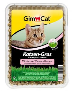 GimCat