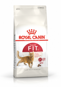 Royal Canin Croquettes pour chat Fit 32 10kg