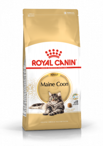 Royal Canin Maine Coon Croquettes pour chats adultes 10kg