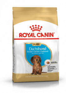 Royal Canin Croquettes pour teckel pour chiot 1.5kg