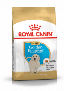 Royal Canin Golden Retriever nourriture pour chiot 12kg