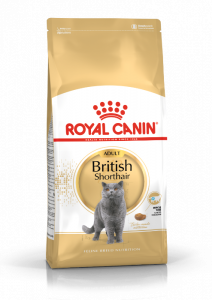 Royal Canin Croquettes pour chat British Shorthair Adult 10kg