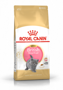 Royal Canin Aliment British Shorthair pour chaton 2kg