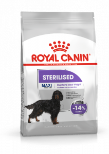 Royal Canin Aliments pour chiens Maxi stérilisés