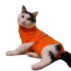 Medical Pet Shirt Cat Orange