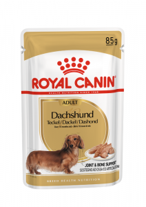 Royal Canin Teckel Adulte nourriture humide pour chien 12x85g