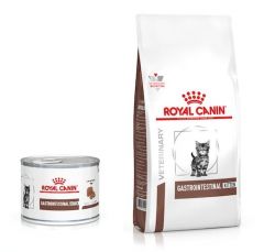 Royal Canin Chaton gastro-intestinal