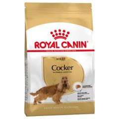 Royal Canin Croquettes pour chien Cocker Adulte