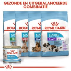 Royal Canin starter mother &amp; babydog nourriture pour chiens et chiots