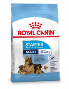 Royal Canin Maxi starter mother &amp; babydog nourriture pour chiens et chiots 4kg