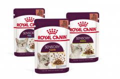 3 sachets de Royal Canin SENSORY Gravy nourriture humide pour chats 3x85g