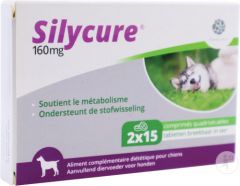 Silycure 160 mg 30 comprimés