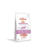 Calibra Croquettes pour chien Life Dog Junior Large Breed Lamb