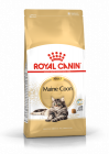 Royal Canin Maine Coon Croquettes pour chats adultes