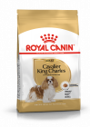 Royal Canin Croquettes pour chien Cavalier King Charles Adulte