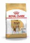 Royal Canin Croquettes pour chien Beagle adulte