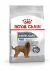 Royal Canin Aliments pour chiens Dental Care Maxi