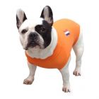 Chemise médicale pour chien Orange