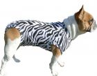Medical Pet Shirt Dog Zebra Print