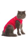 Medical Pet Shirt Cat Red