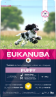 Eukanuba Chien - Puppy Medium