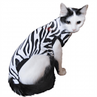 Medical Pet Shirt Cat Zebra Print