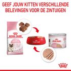 Royal Canin nourriture pour chat et chaton mother &amp; babycat