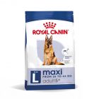 Royal Canin Aliments Maxi Adult 5+ pour chiens âgés de 5 ans et plus