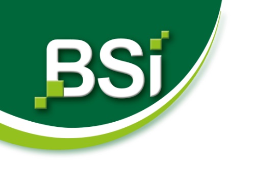 BSI